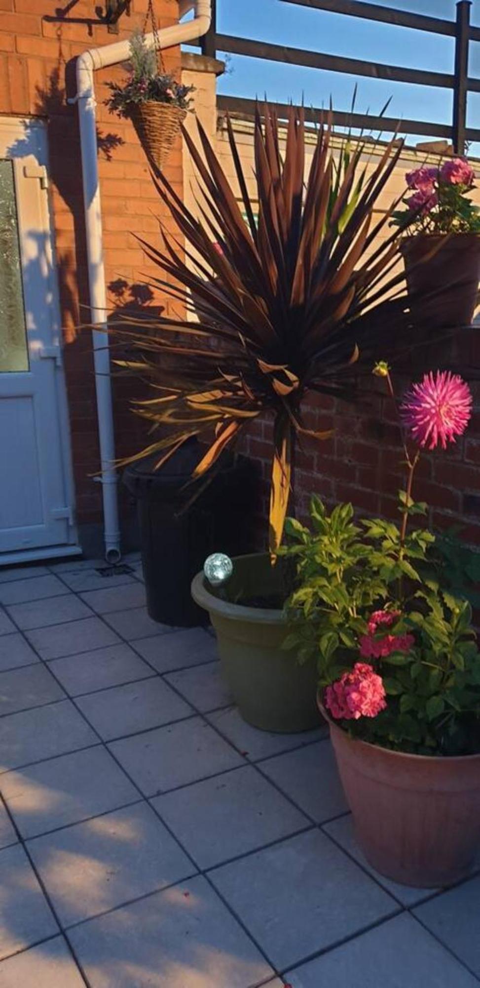 Apartmán Cosy Corner - Town Centre Flat With Free Nearby Parking Shrewsbury Exteriér fotografie