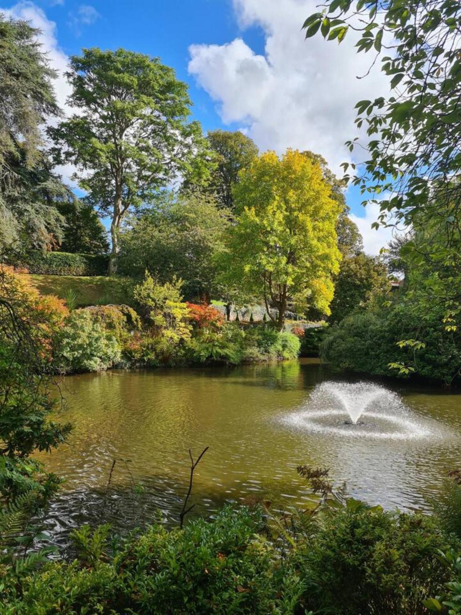 Apartmán Cosy Corner - Town Centre Flat With Free Nearby Parking Shrewsbury Exteriér fotografie
